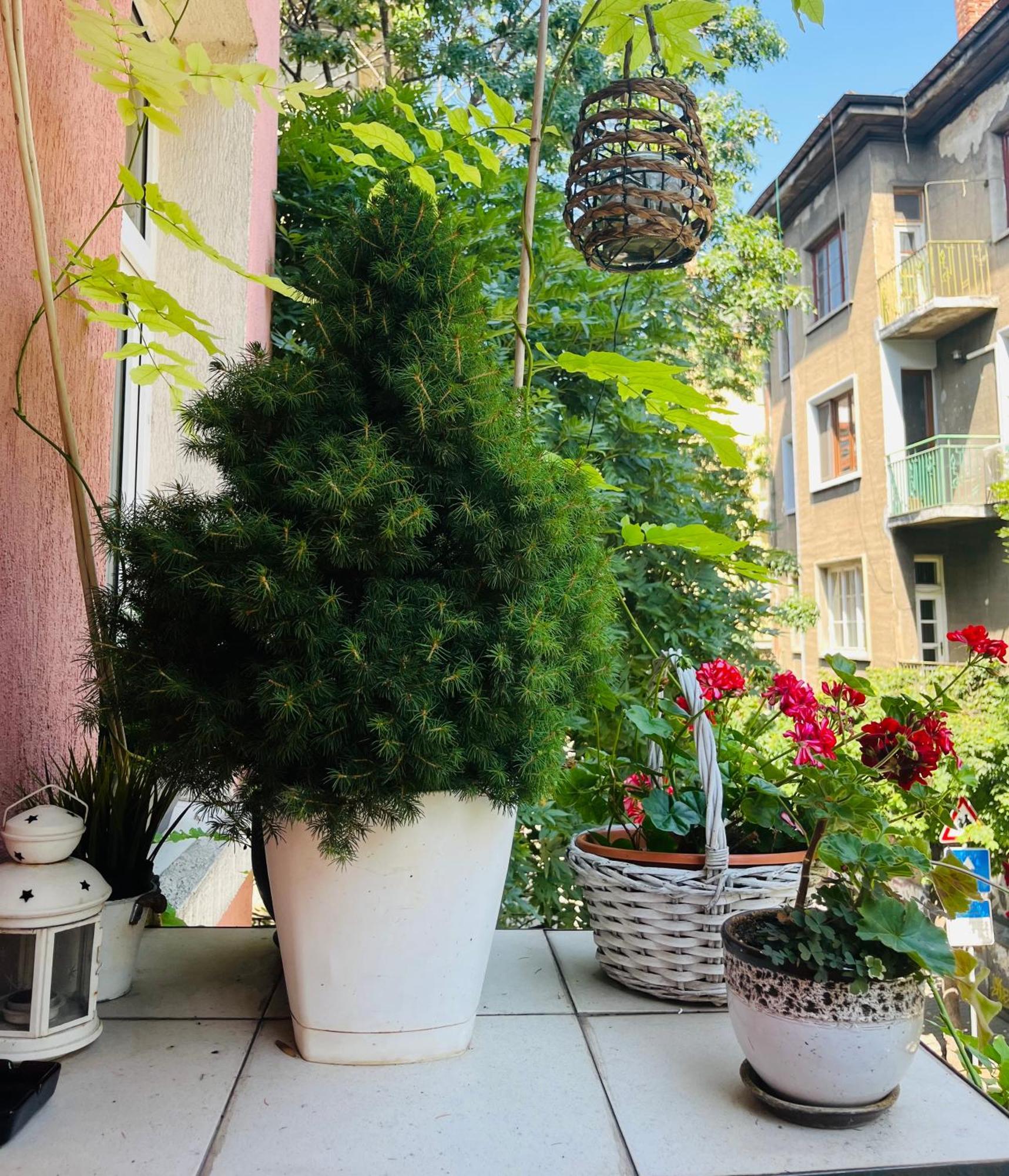 Lovely Place София Екстериор снимка